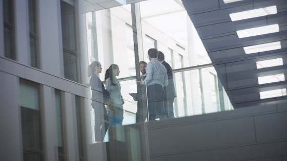 Crear Una Holding En Andorra Psf