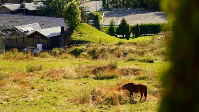 Invertir En Inmobles A Andorra